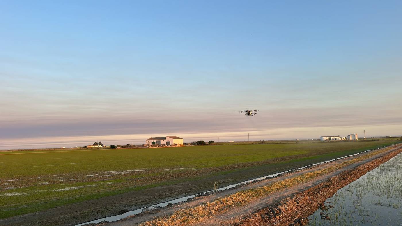 Dron agrícola de DroneSevilla en vuelo sobre un cultivo en Sevilla al atardecer