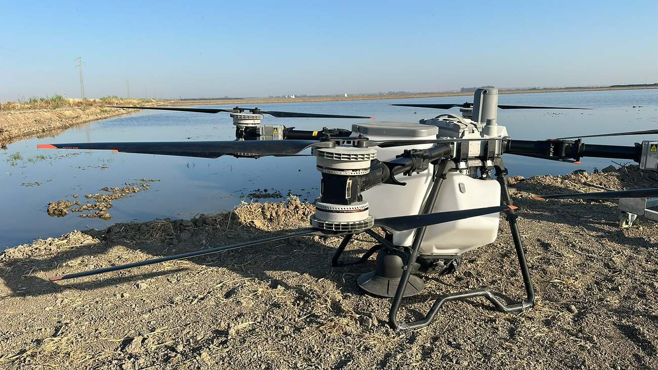 Dron agrícola de DroneSevilla con depósito y boquillas de aplicación, junto a un cultivo de arroz en Sevilla